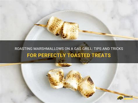can you toast marshmallows on a gas grill
